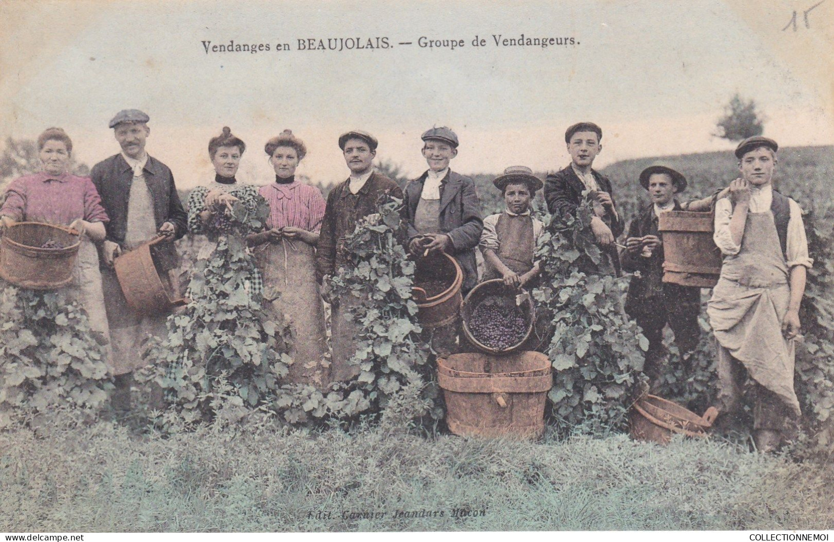 ,4 Cartes ,,  VENDANGES EN BEAUJOLAIS - Other & Unclassified