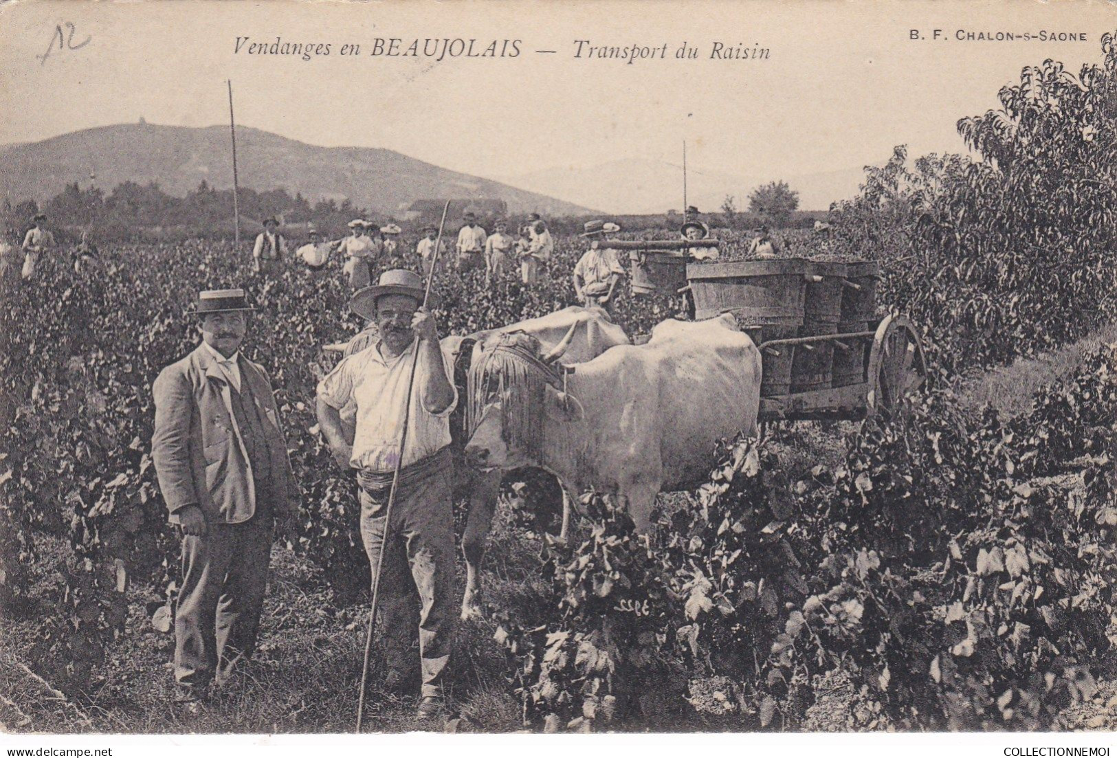 ,4 cartes ,,  VENDANGES EN BEAUJOLAIS