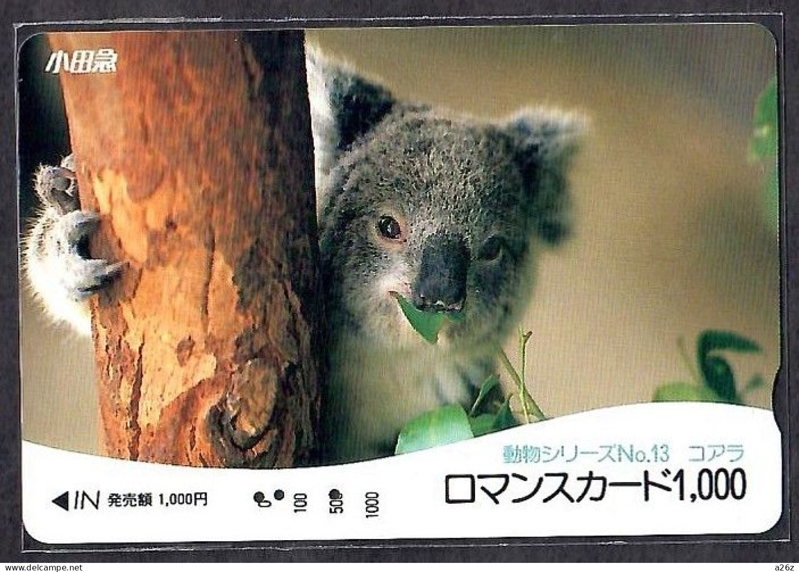 Japan 1V Koala No. 13 Odakyu Electric Railway Used Card - Jungle