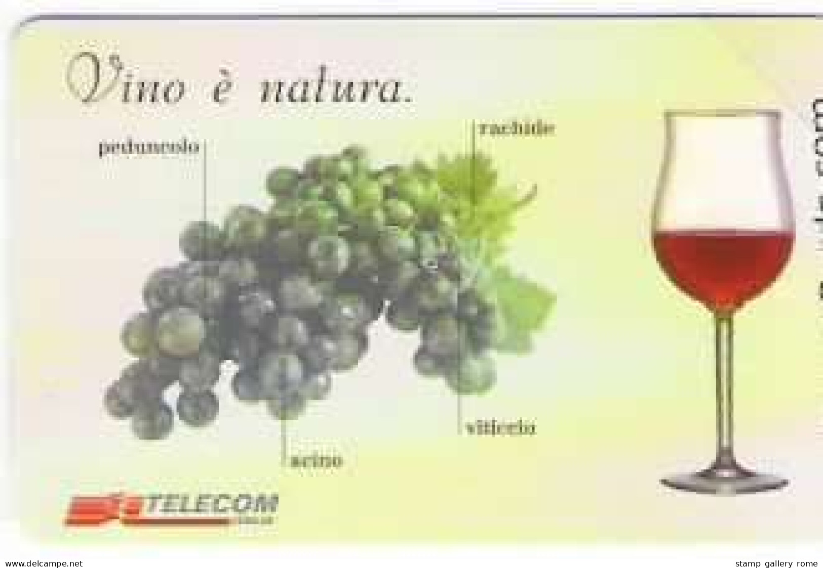 TELECOM - VINO E' NATURA - 14° MANIFESTAZIONE DI PIACENZA - SERIE NUOVA 3 V. LIRE 2000 5000 15000 - GOLDEN  1342/1344 - Pubbliche Figurate Ordinarie