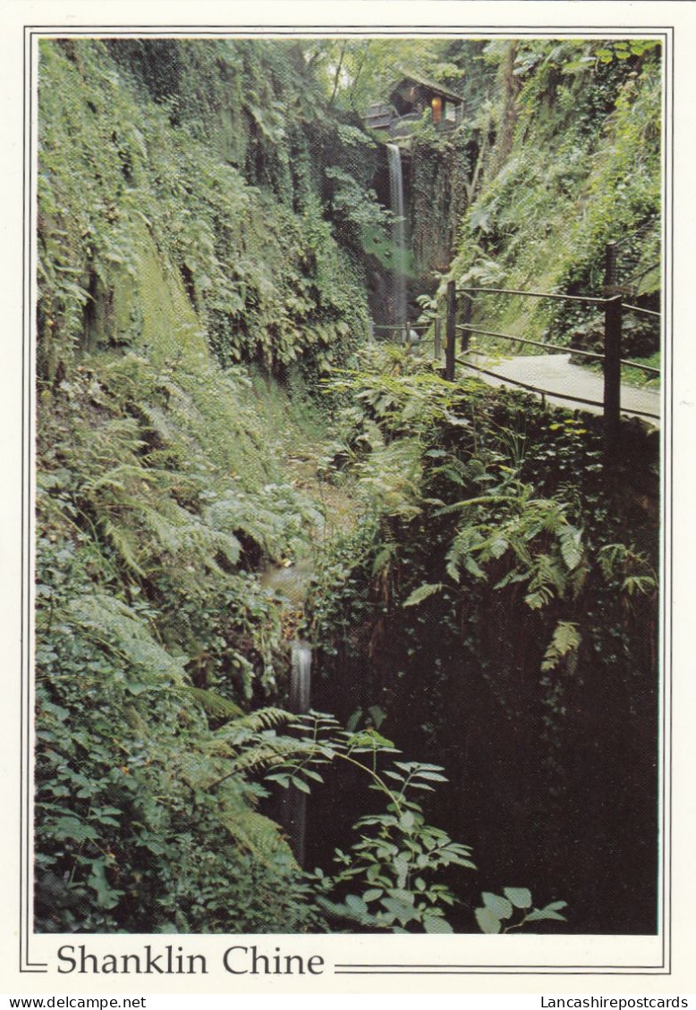 Postcard Shanklin Chine Isle Of Wight My Ref B26342 - Shanklin