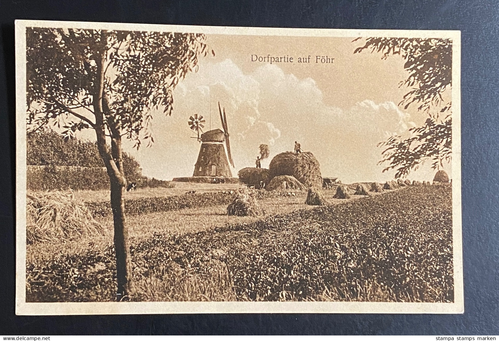 AK Dorfpartie Auf FÖHR Ca. 1920 Nicht Gelaufen - Föhr