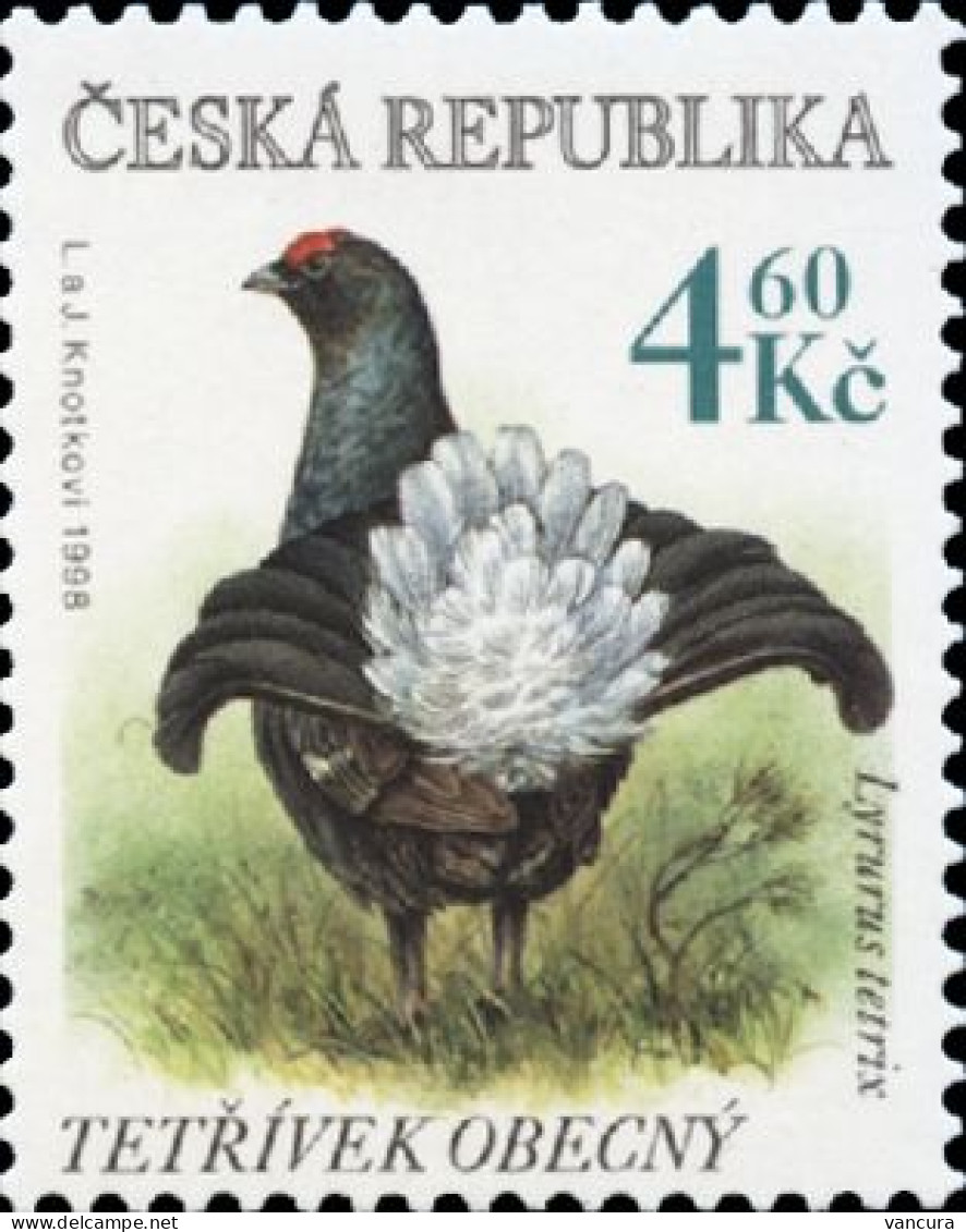 180 Czech Republic Black Grouse 1998 - Hühnervögel & Fasanen