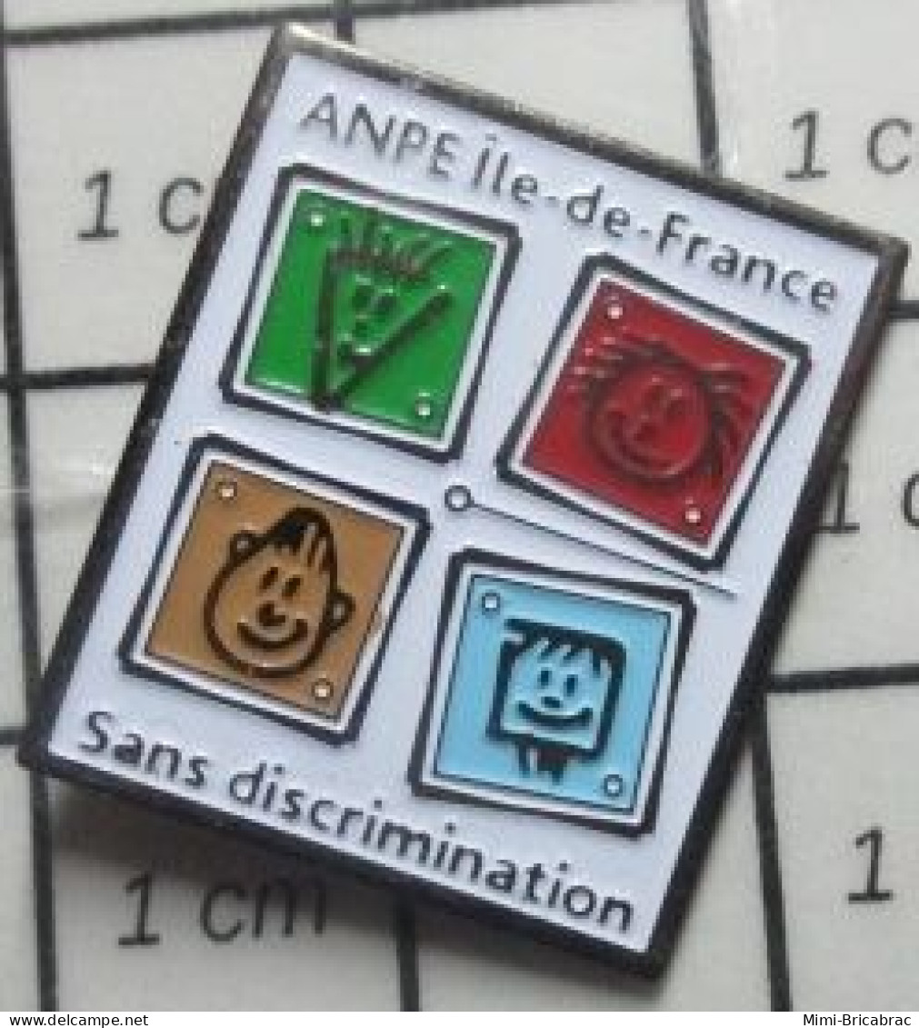715A Pin's Pins / Beau Et Rare / ADMINISTRATIONS / ANPE ILE DE FRANCE SANS DISCRIMINATION - Banche