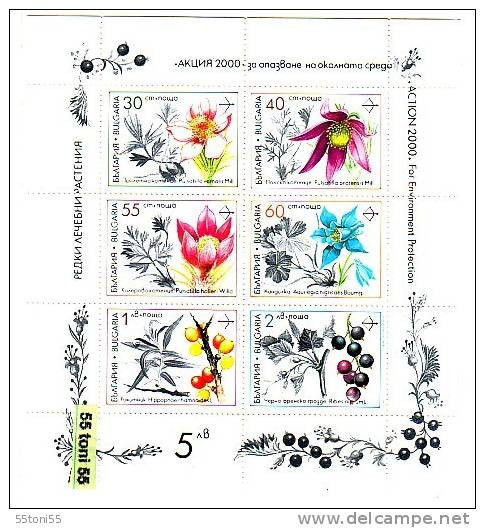 1991  Flora   Medicinal Plants Sheet  Of 6v- MNH  Bulgaria / Bulgarie - Ongebruikt