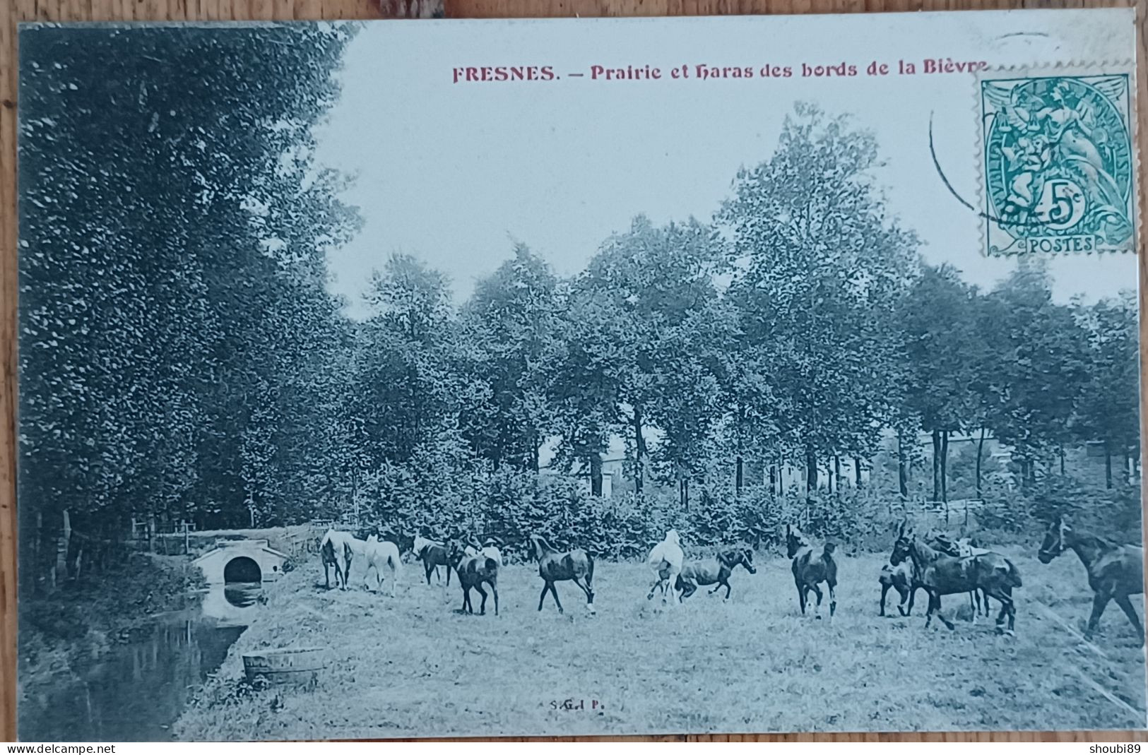 FRESNES PRAIRIE ET HARAS DES BORDS DE LA BIÈVRE CHEVAUX - Fresnes