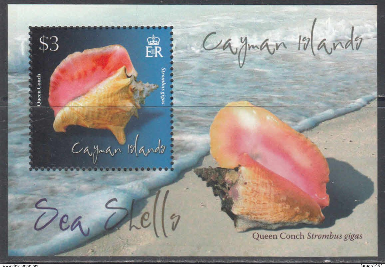 2010 Cayman Islands Queen Conch Shells Souvenir Sheet MNH - Iles Caïmans