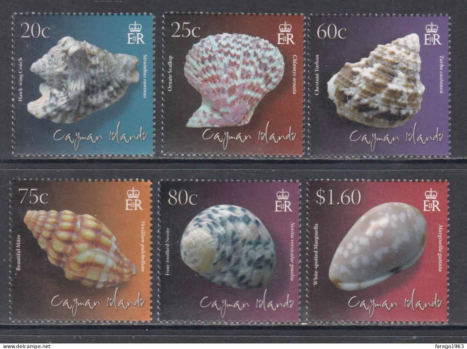 2010 Cayman Islands Shells Complete Set Of 6 MNH - Caimán (Islas)