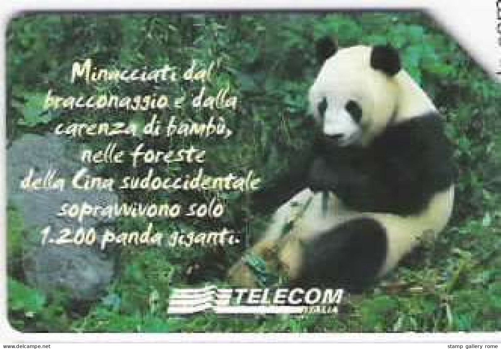 TELECOM - ANIMALI CHE LASCIANO UN VUOTO - USATA - LIRE 5000 - GOLDEN  1413 - Publiques Figurées Ordinaires