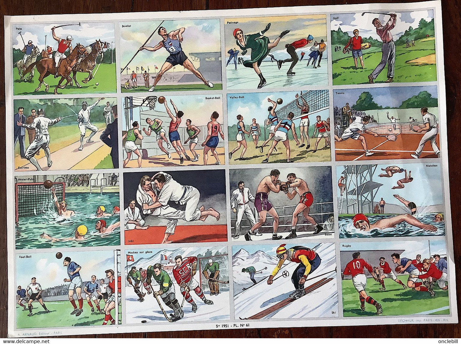 Pédagogie Ecole Images Sport Planche Scolaire Arnaud Dechaux éditeur 1950 état Superbe - Material Und Zubehör