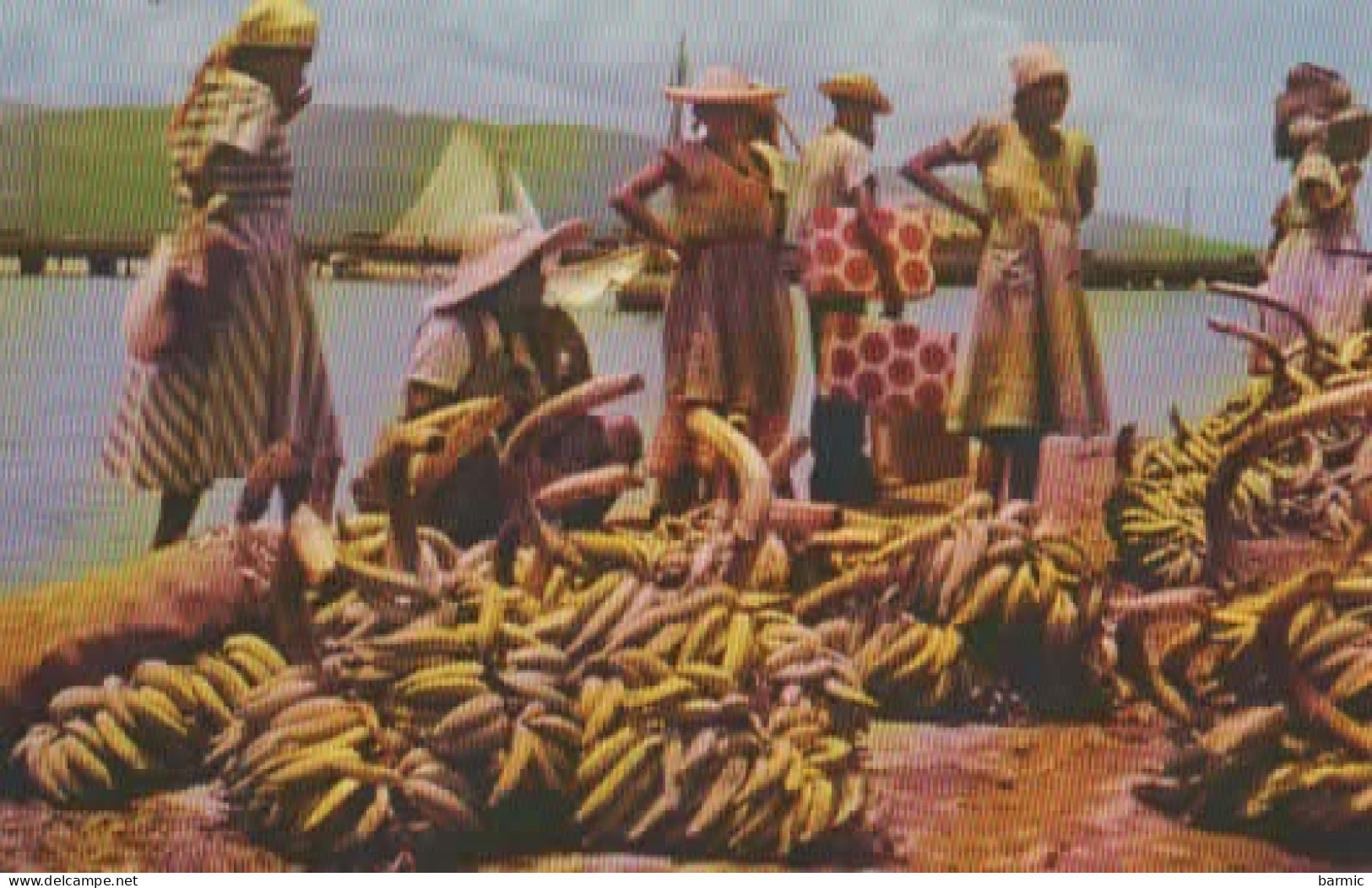 PORT AU PRINCE, A SELLER OF BANANAS  COULEUR  REF 14560 - Haïti