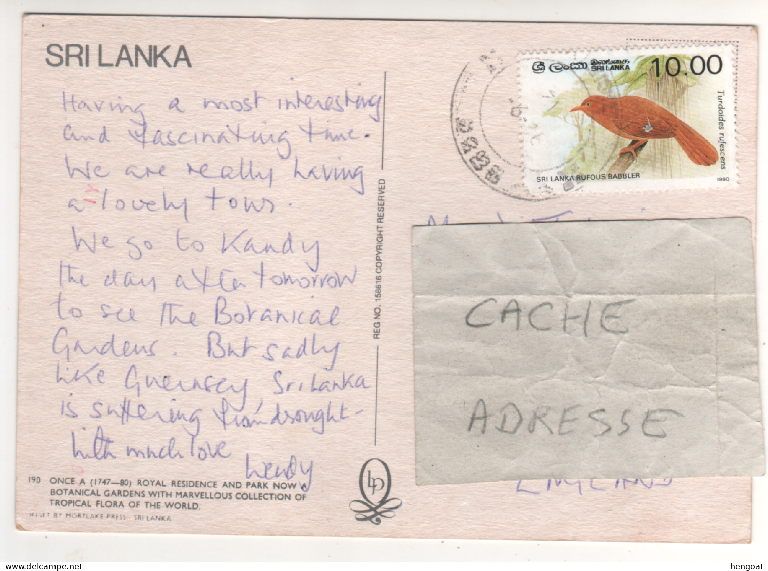 Timbre , Stamp " Oiseau : Turdoides Rufescens " Sur CP , Carte , Postcard - Sri Lanka (Ceylan) (1948-...)