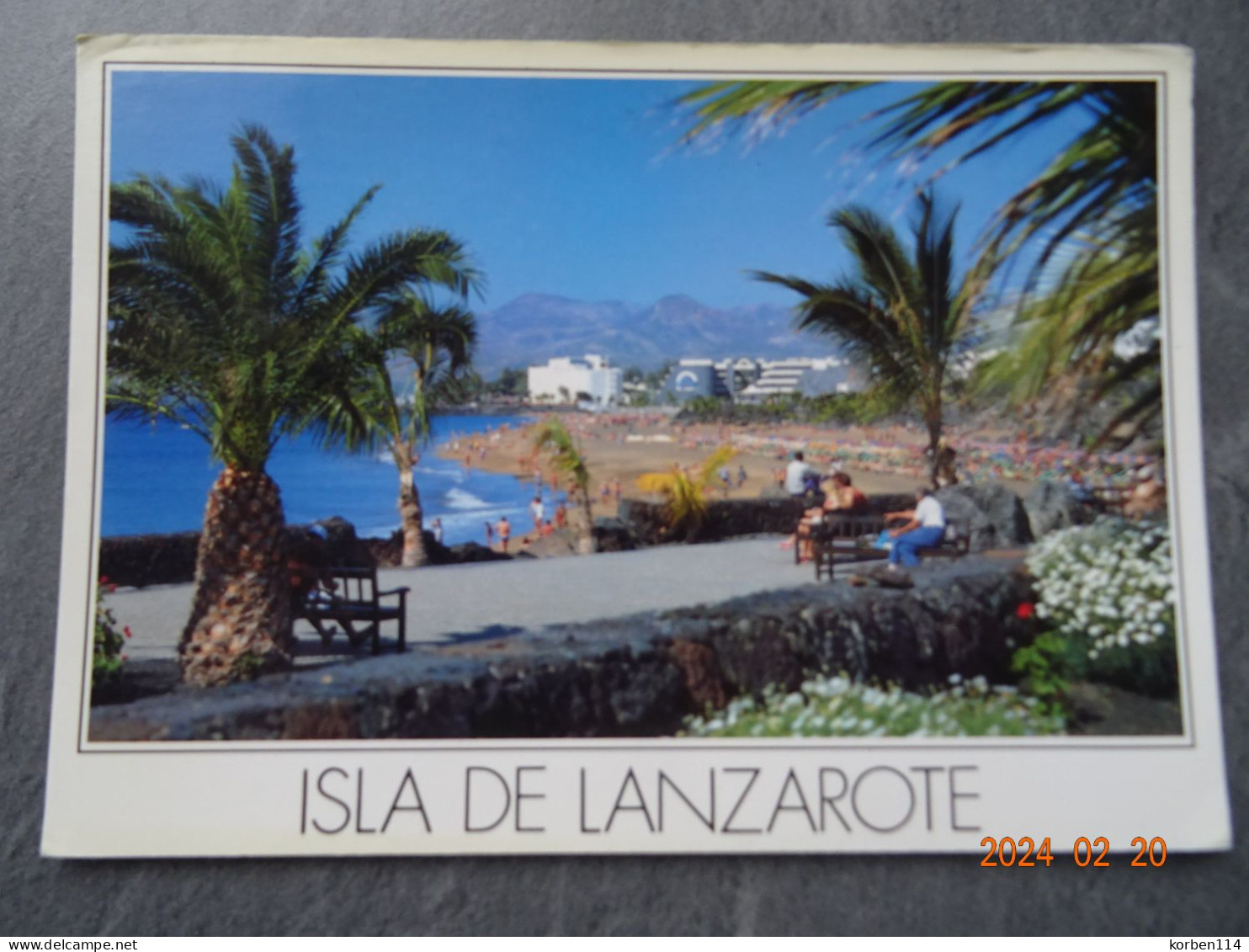 POLLENSAPUERTO DEL CARMEN - Lanzarote