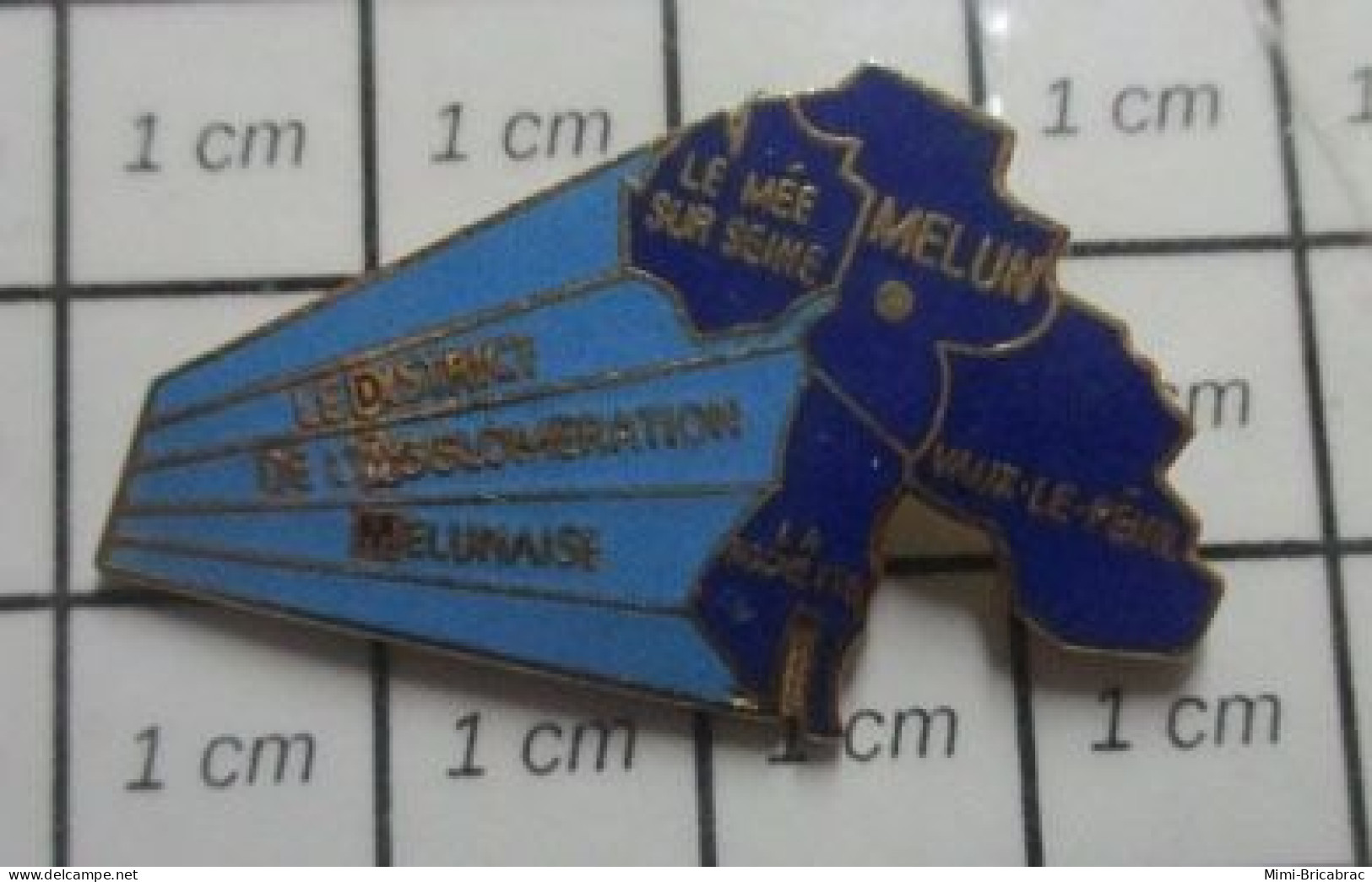 715A Pin's Pins / Beau Et Rare / ADMINISTRATION / DISTRICT DE L'AGGLOMERATION MELUNOISE MELUN LE MEE - Administrations