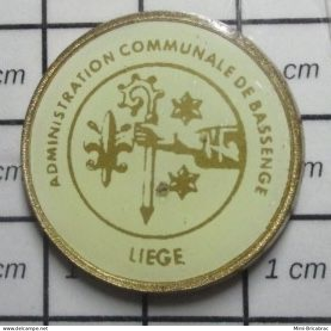 715A  Pin's Pins / Beau Et Rare / ADMINISTRATION COMMUNALE DE BASSENGE LIEGE BELGIQUE - Administración