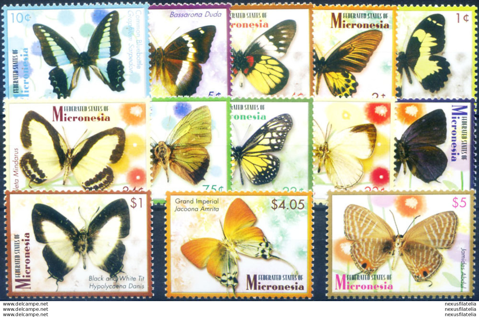 Definitiva. Fauna. Farfalle 2006. - Micronésie
