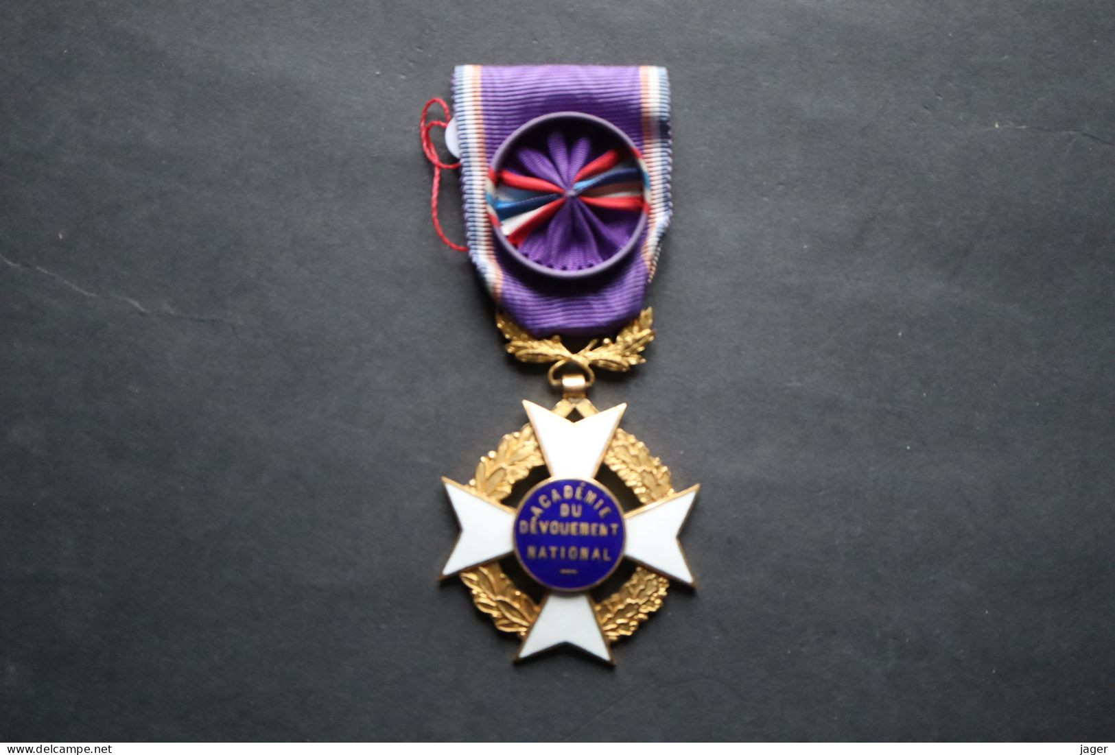 Ordre Médaille France   Académie Du Dévouement National Officier  émaillé - Frankrijk