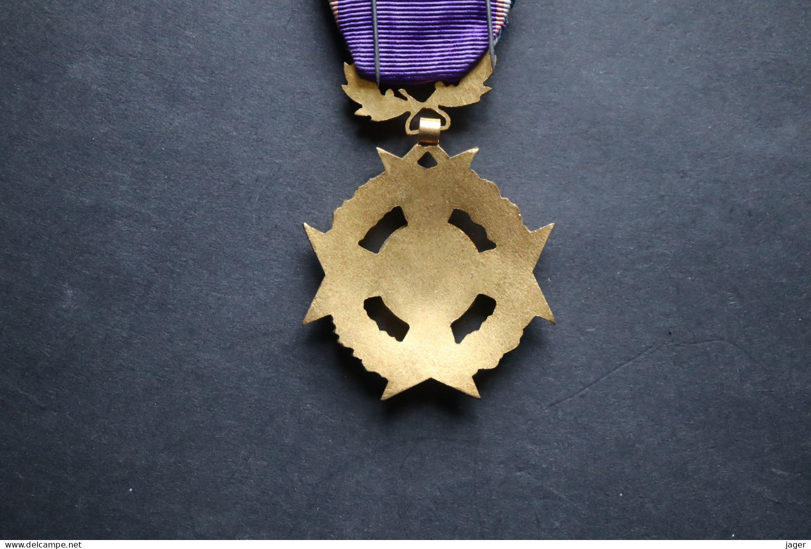 Ordre Médaille France   Académie Du Dévouement National Officier  émaillé - Frankrijk