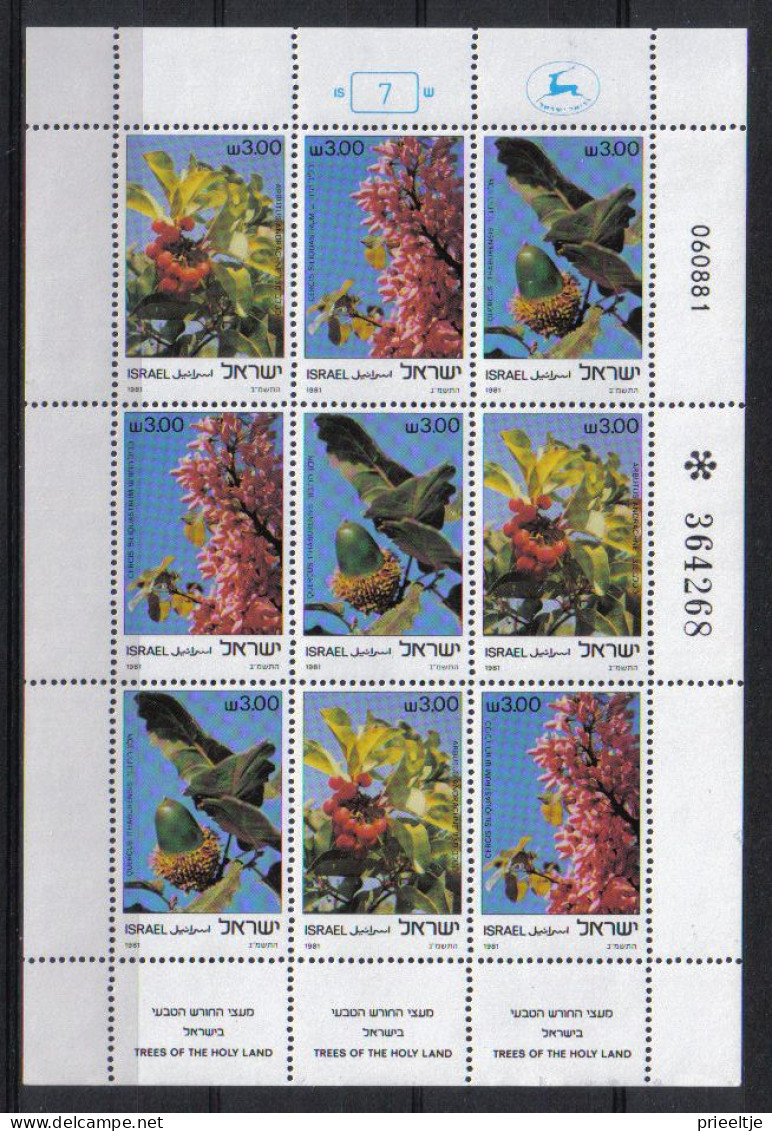 Israel 1981 Trees Of The Holy Land Sheet Y.T. F 813 ** - Blocks & Kleinbögen