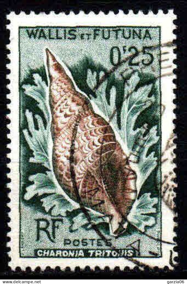 Wallis Et Futuna  - 1962  -  Coquillages  - N° 162  - Oblit - Used - Usados