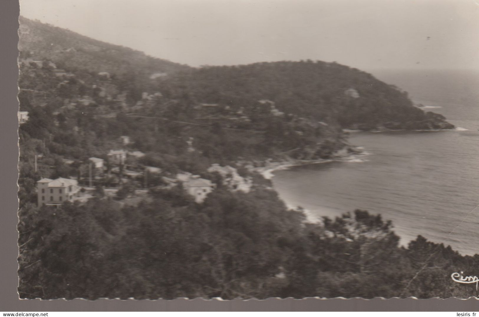 C.P. - PHOTO - LE RAYOL - BORD DE MER - COMBIER - Rayol-Canadel-sur-Mer