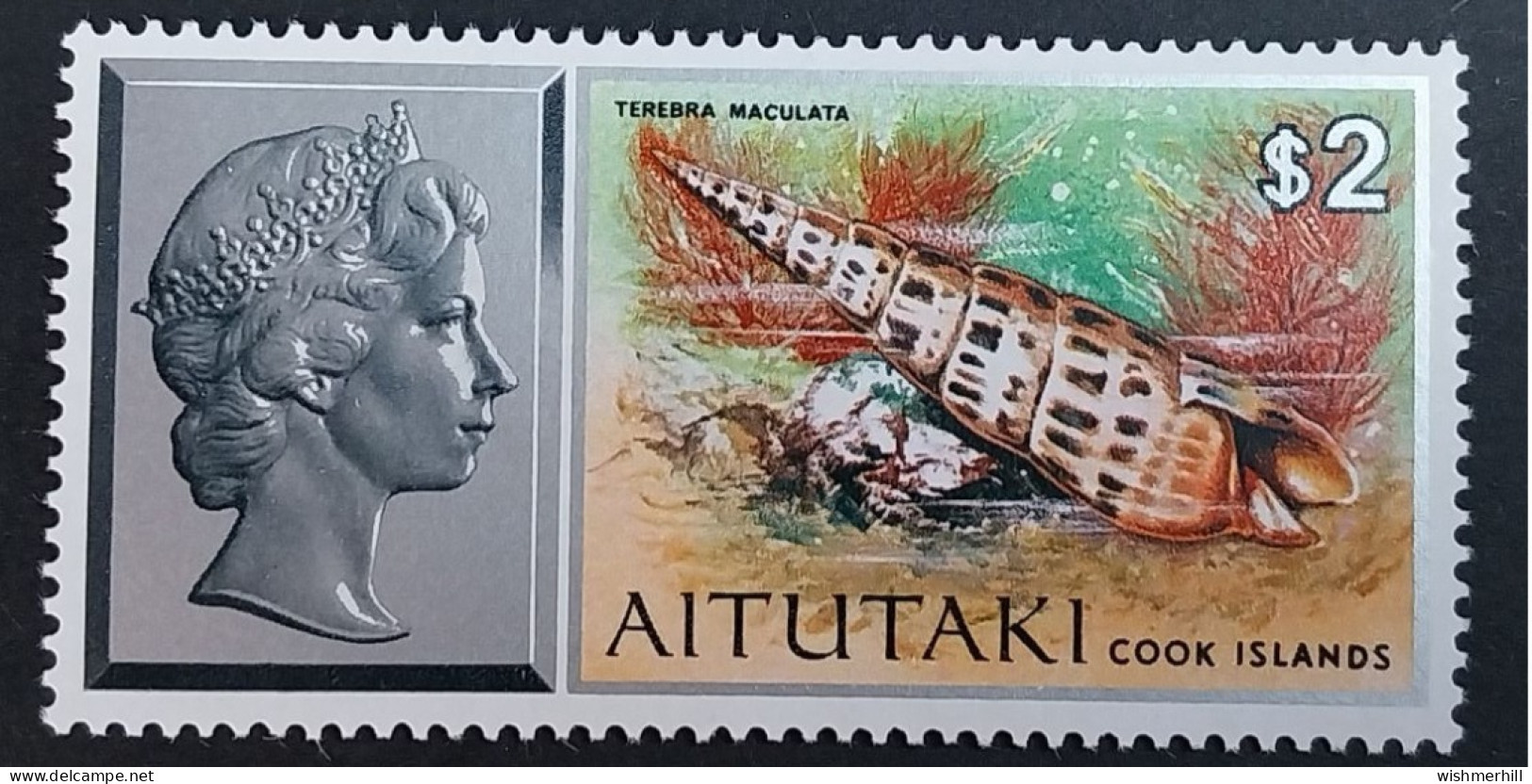 Coquillages Shells //  Neuve ** MNH ; Aitutaki YT 132 (1975) Cote 10 € - Aitutaki