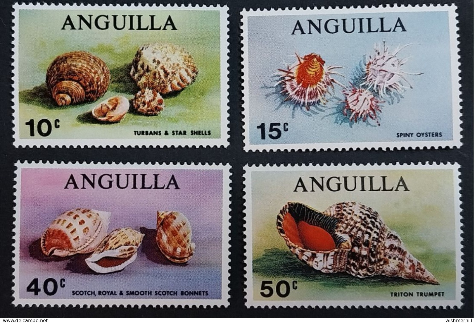 Coquillages Shells // Série Complète Neuve ** MNH ; Anguilla 43/46 (1969) Cote 4.25 € - Anguilla (1968-...)