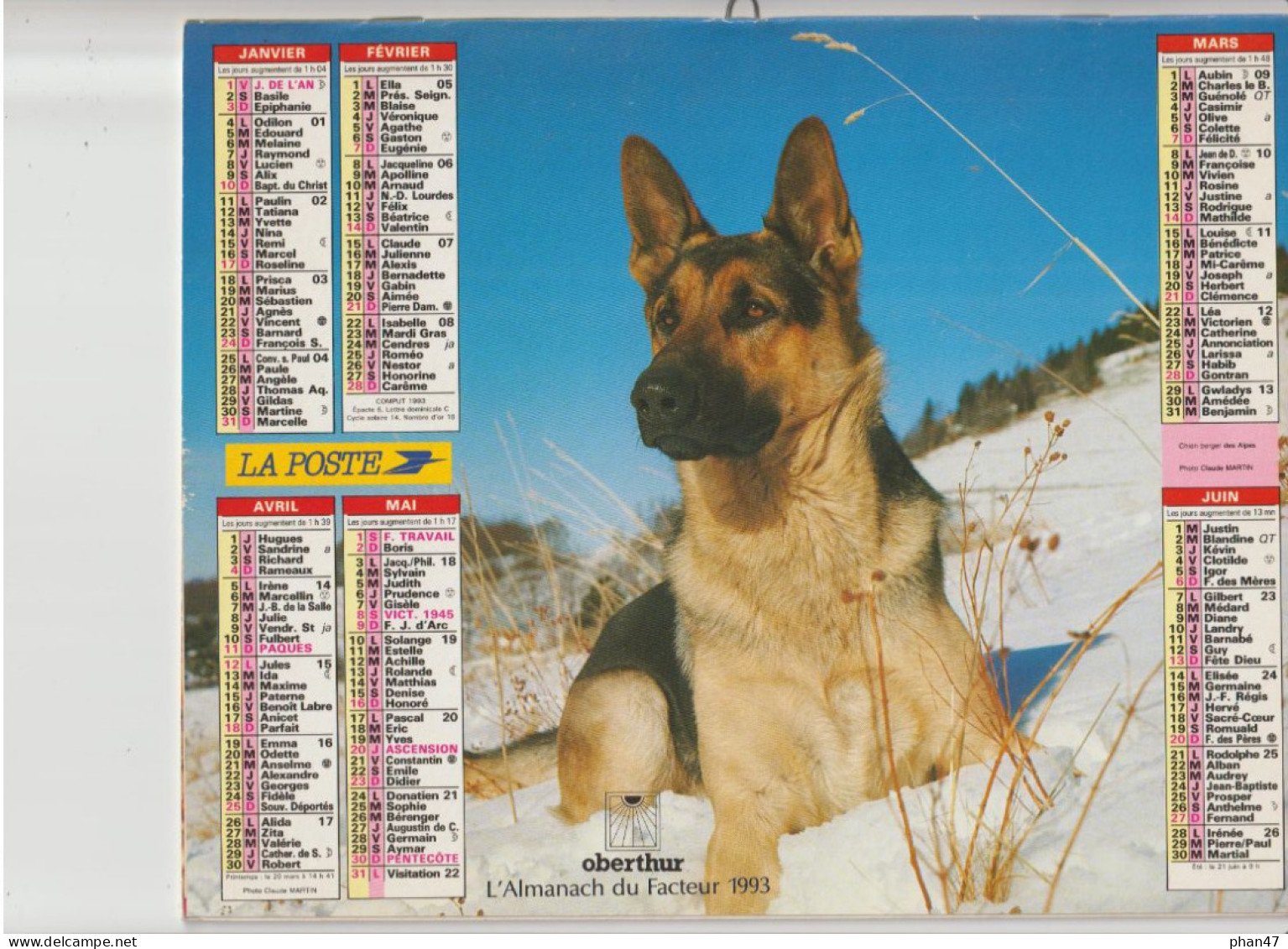 Almanach Du Facteur 1993, Chien Berger Des Alpes / "Jamais Bon Cheval Ne Devient Rosse" Jument Et Son Poulain OBERTHUR - Groot Formaat: 1991-00