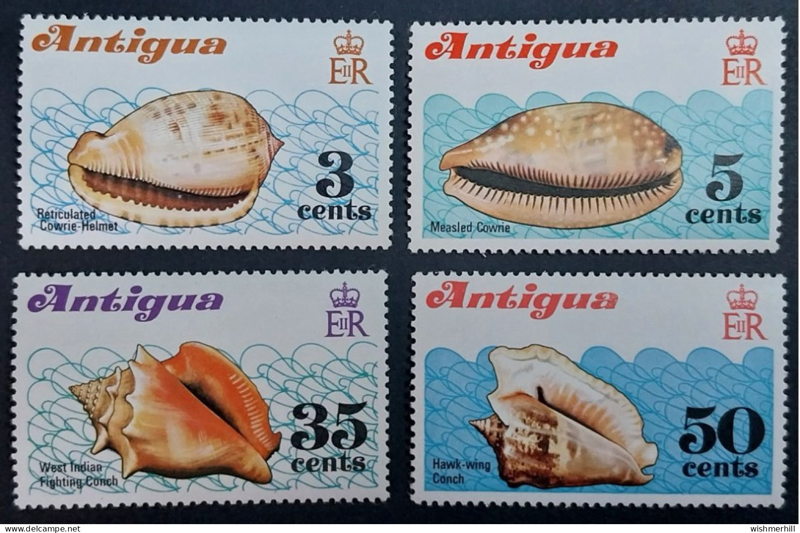 Coquillages Shells // Série Complète Neuve ** MNH ; Antigua YT 279/282 (1972) Cote 6.50 € - 1960-1981 Ministerial Government