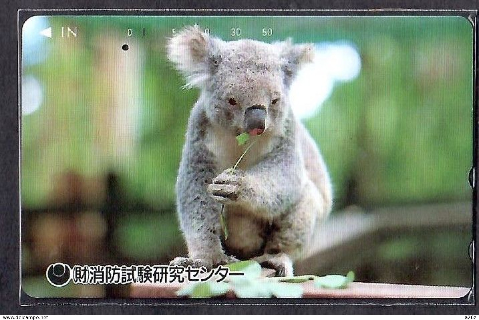 Japan 1V Koala Advertising Used Card - Giungla