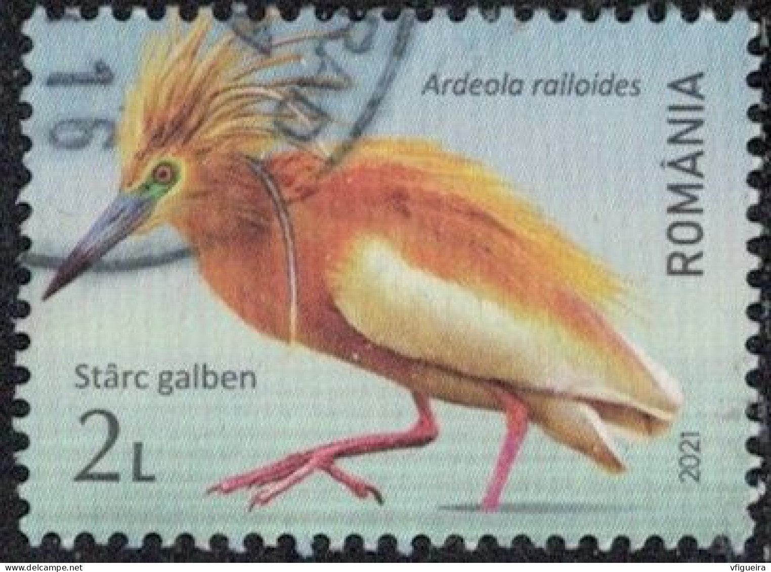 Roumanie 2021 Oblitéré Used Oiseau Ardeola Ralloides Crabier Chevelu Y&T RO 6674 SU - Oblitérés