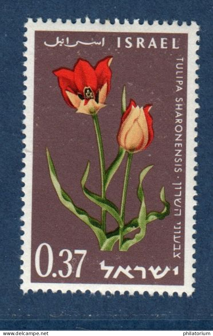 Israël, **, Yv 235, Mi 284, SG 258, Tulipa Sharonensis Ou Tulipa Agenensis, Tulipe D' Agen, - Neufs (sans Tabs)