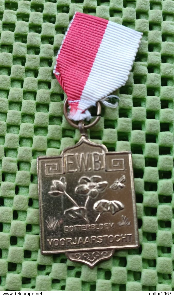 Medaille -  E.W.B. Voorjaarstocht , Enschede-  Original Foto  !!  Medallion  Dutch - Adel