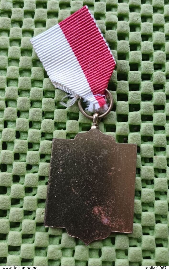 Medaille -  E.W.B. Voorjaarstocht , Enschede-  Original Foto  !!  Medallion  Dutch - Monarchia/ Nobiltà