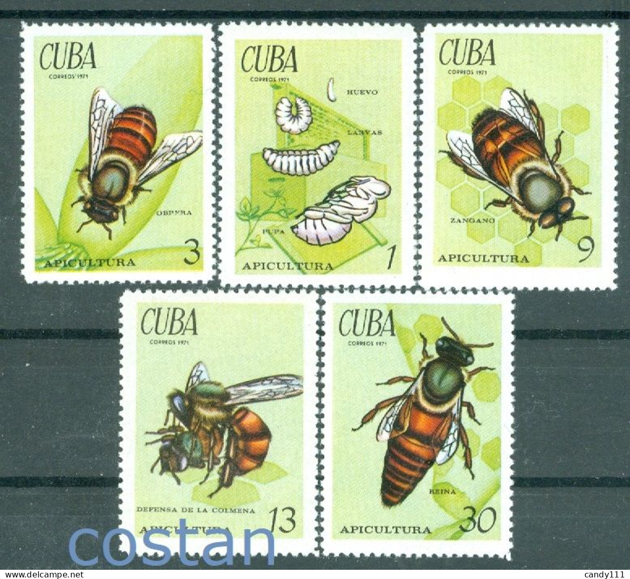 1971 Apiculture,Honey Bees,Queen Bee,worker Bee,larvae,drone,cuba,1702,MNH - Abejas