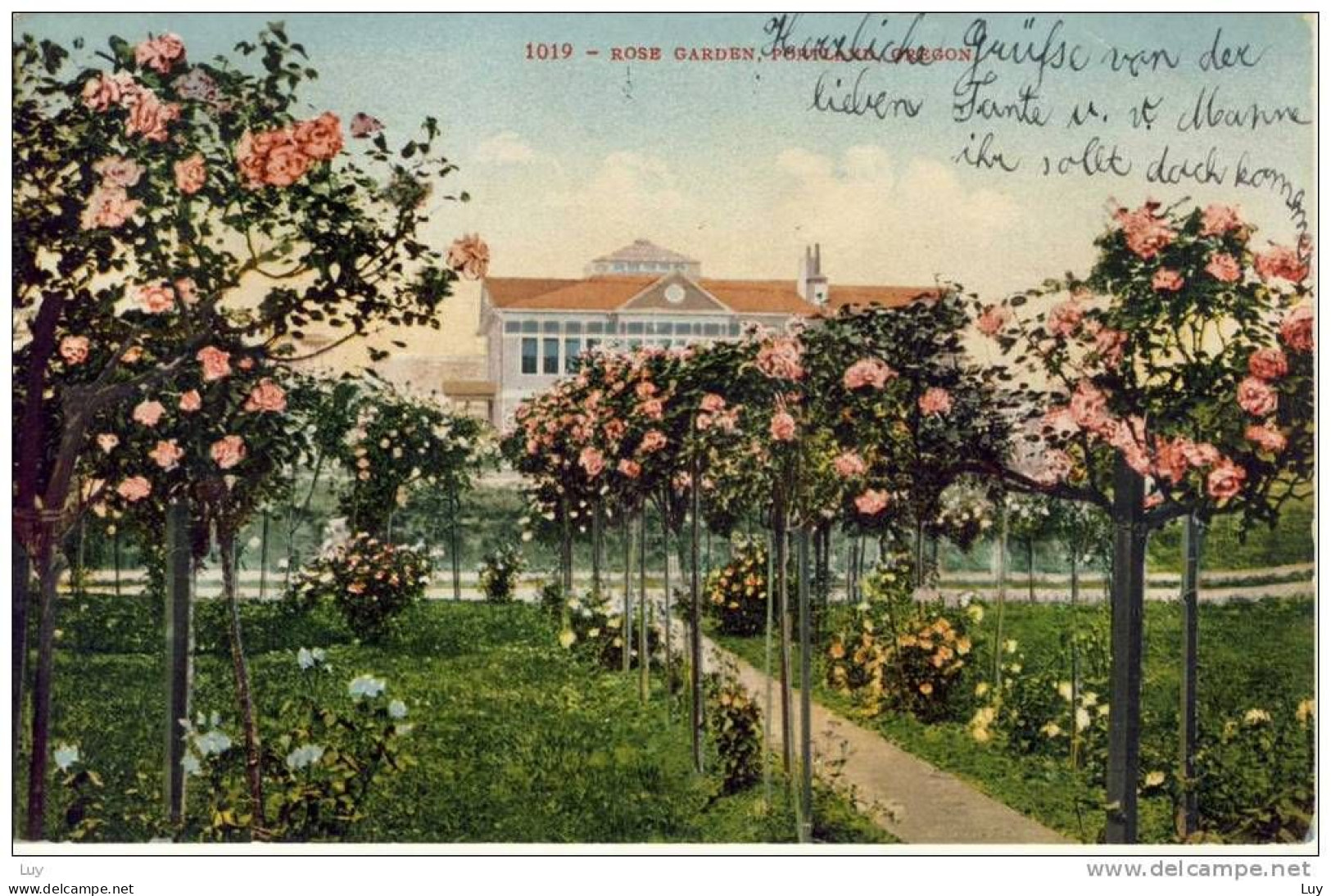 PORTLAND, OR - 1910 - Handcoloured PC - ROSE GARDEN, - Portland