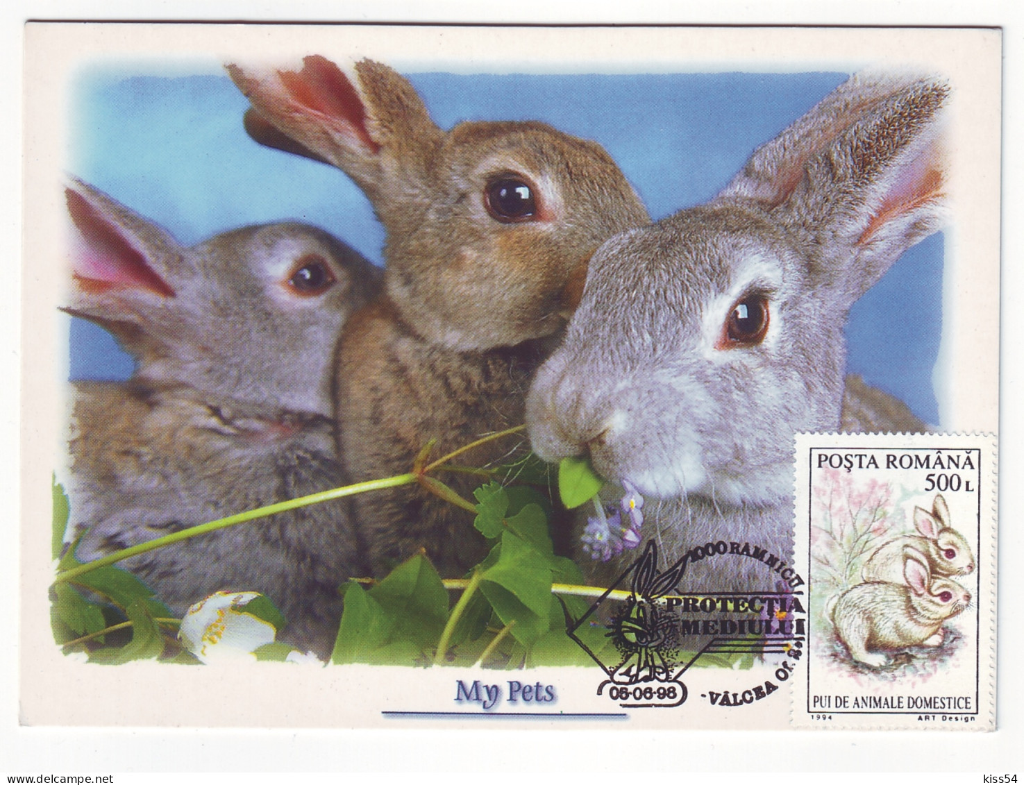 MAX 13 - 223 RABBIT, Romania - Maximum Card - 1998 - Conigli