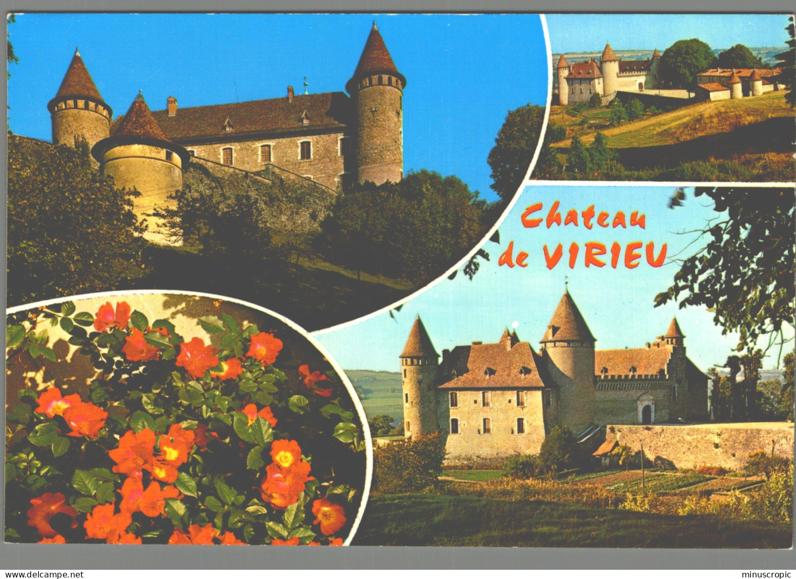 CPM 38 - Virieu Sur Bourbre - Le Chateau - Virieu