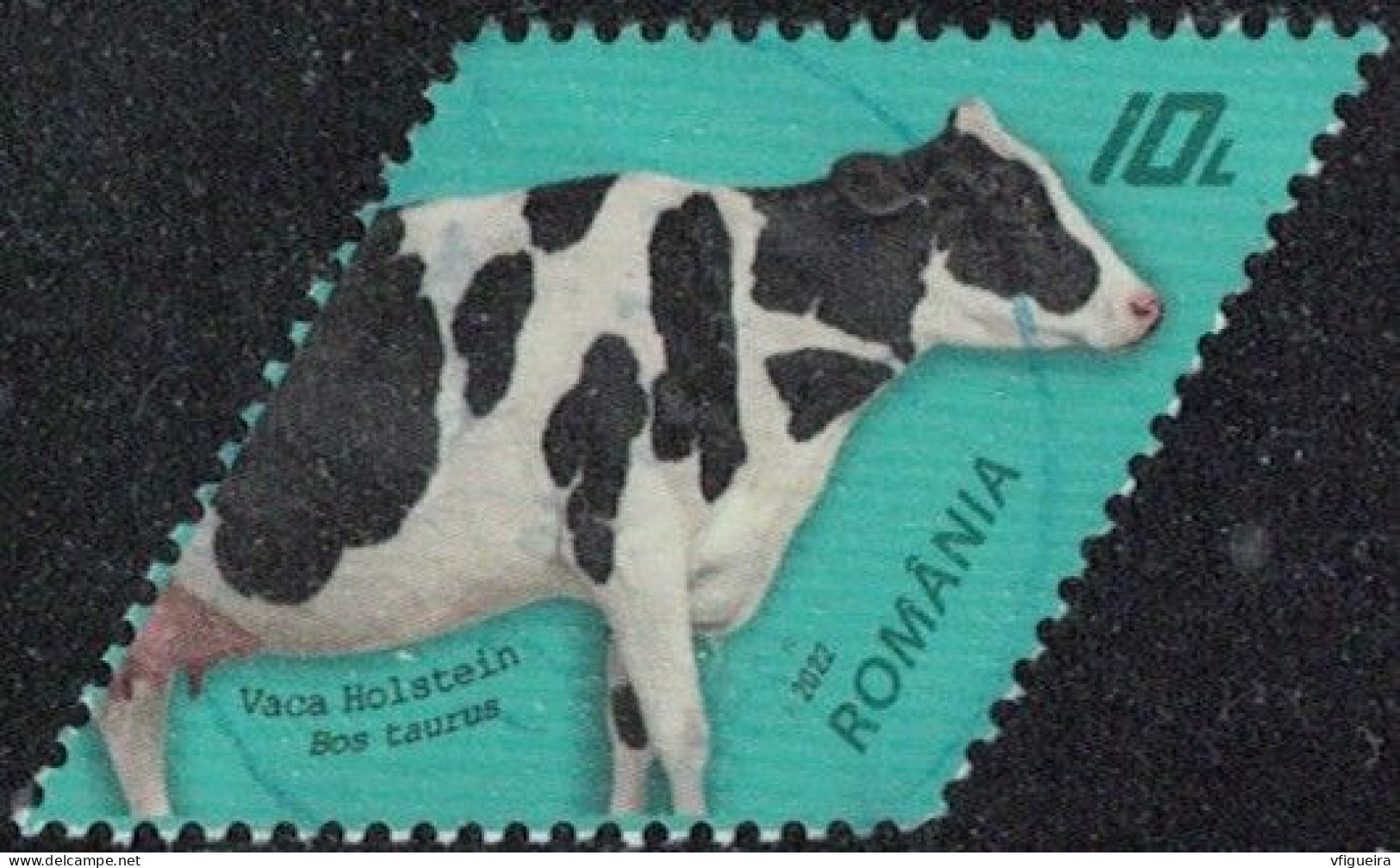 Roumanie 2022 Oblitéré Used Vache Holstein Race Bovine Y&T RO 6697 SU - Oblitérés