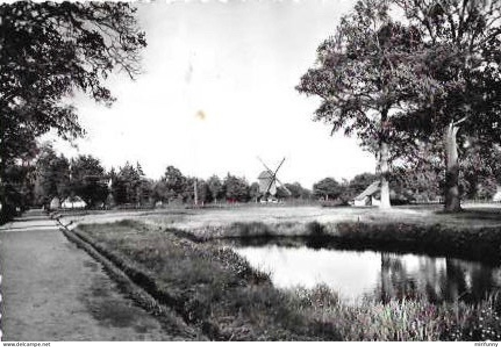 DOMEIN BOKRIJK OPENLUCHTMUSEUM///KEMPISCH DORPSPLEIN MET DRENKPLAATS VOOR HET VEE EN STANDERMOLEN/MOULIN - Genk