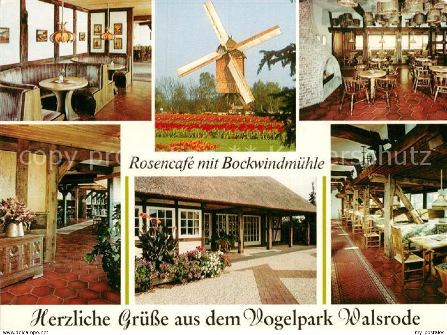 72929728 Walsrode Lueneburger Heide Rosencafe Bockwindmuehle Walsrode - Walsrode