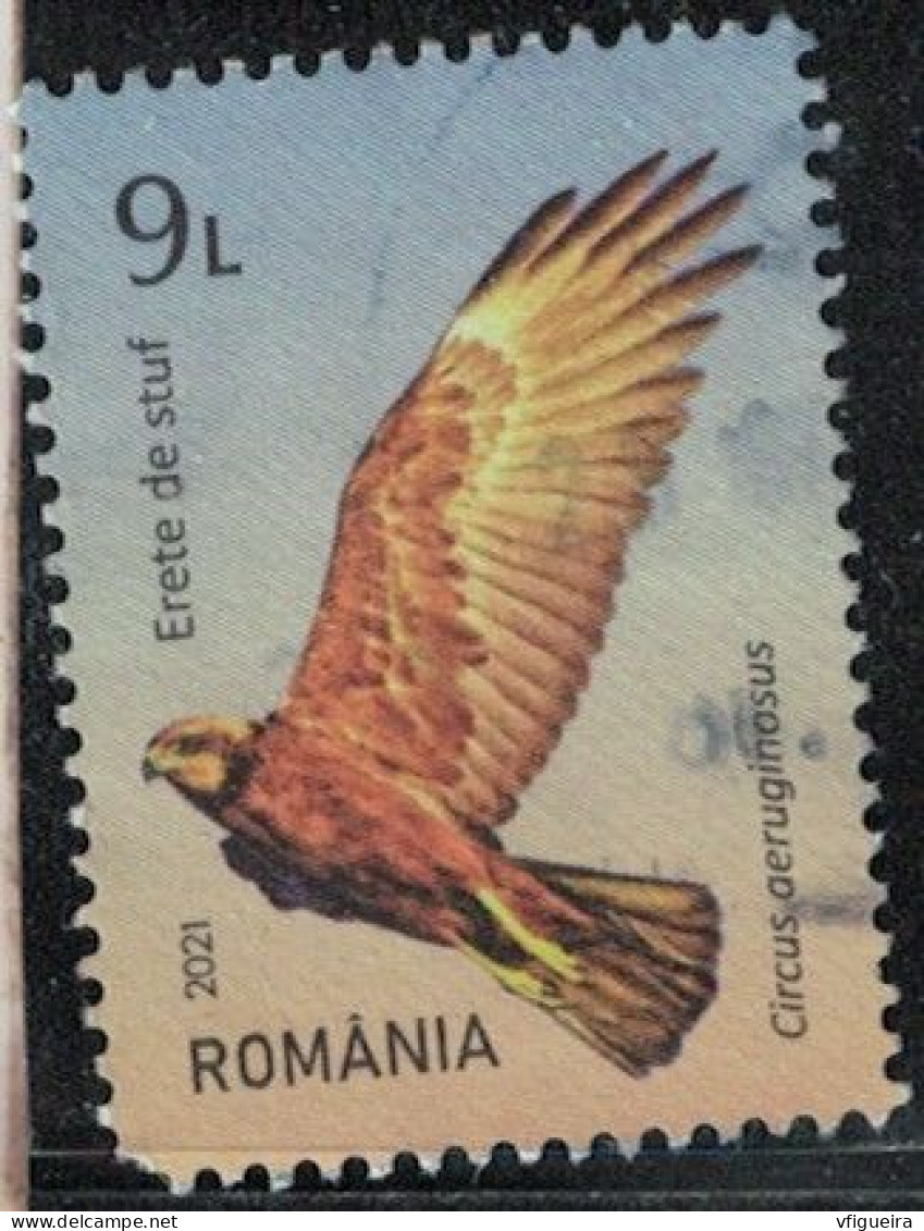 Roumanie 2021 Oblitéré Used Oiseau Rapace Circus Aeruginosus Busard Des Roseaux Y&T RO 6678 SU - Usati