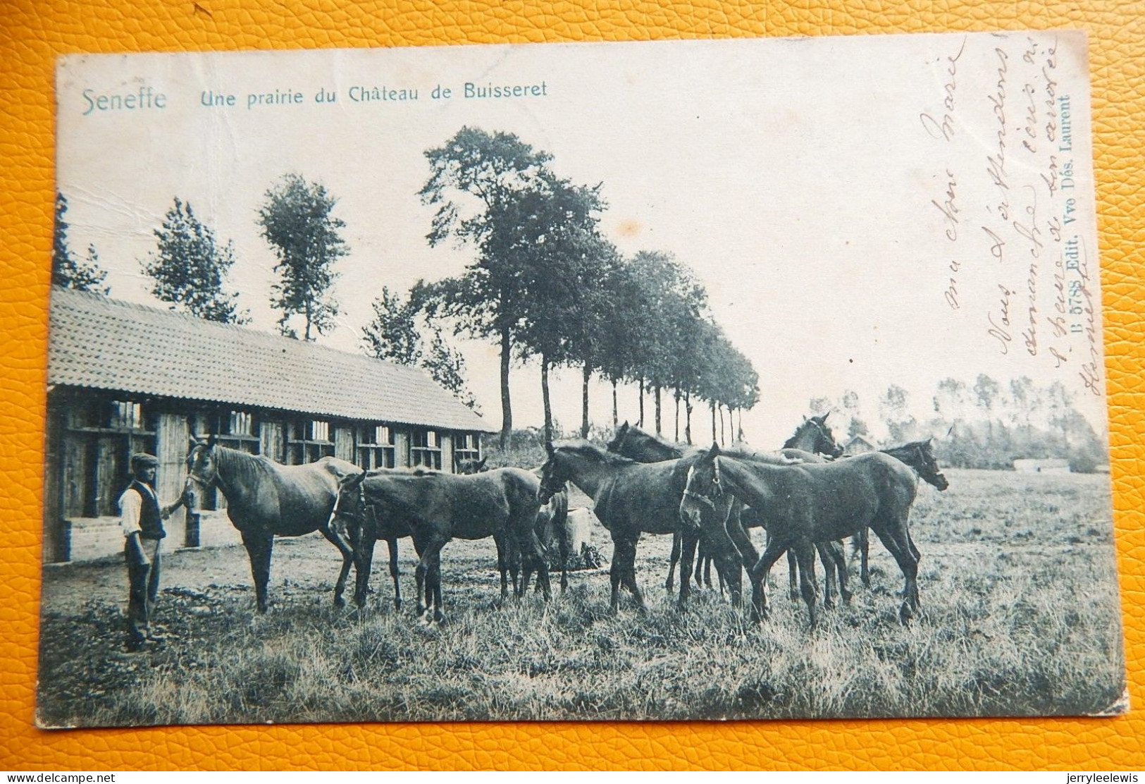SENEFFE   -  Une Prairie Du Château  De Buisseret   -  1905 - Seneffe