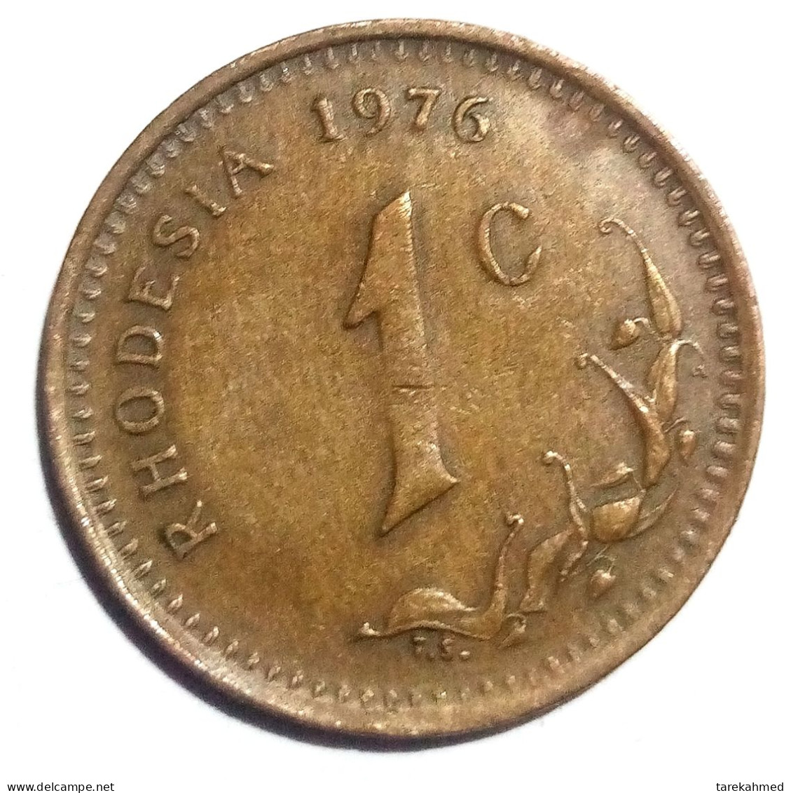 RHODESIA - 1 CENT , 1976 - KM 10 , Agouz - Rhodesië