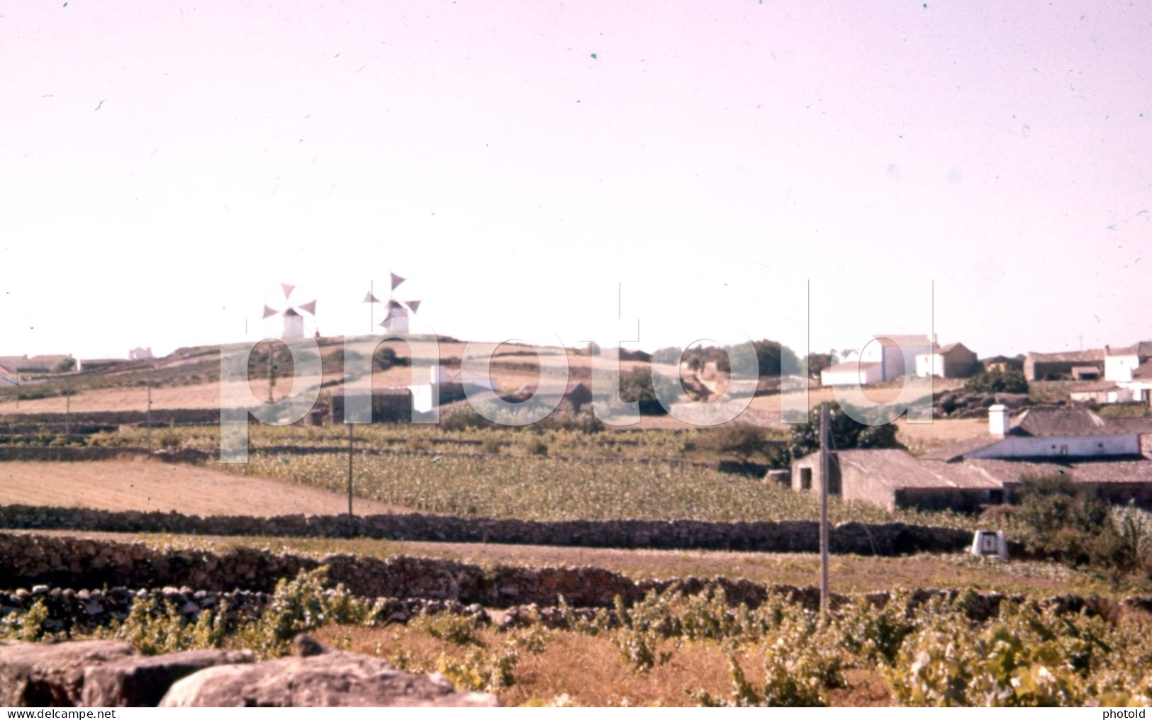 2 SLIDES SET 1957 WIND MILL MOULIN ERICEIRA PORTUGAL ORIGINAL AMATEUR 35mm DIAPOSITIVE SLIDE Not PHOTO No FOTO NB3926 - Diapositives