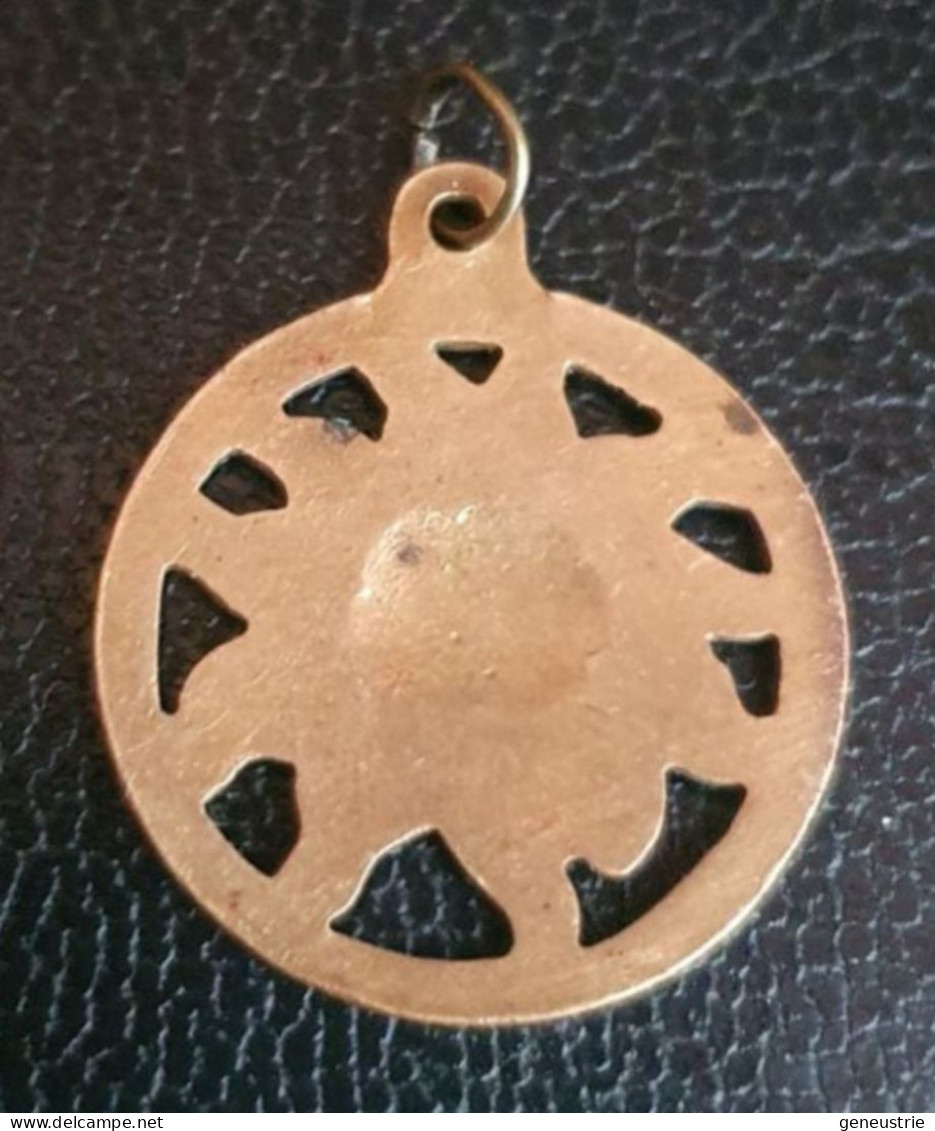 Pendentif Médaille émaillée Régional Alpes "Edelweiss" - Pendants