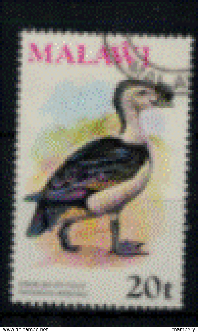 Malawi - "Oiseau : Sarkidiornus" - Oblitéré N° 236 De 1975 - Malawi (1964-...)