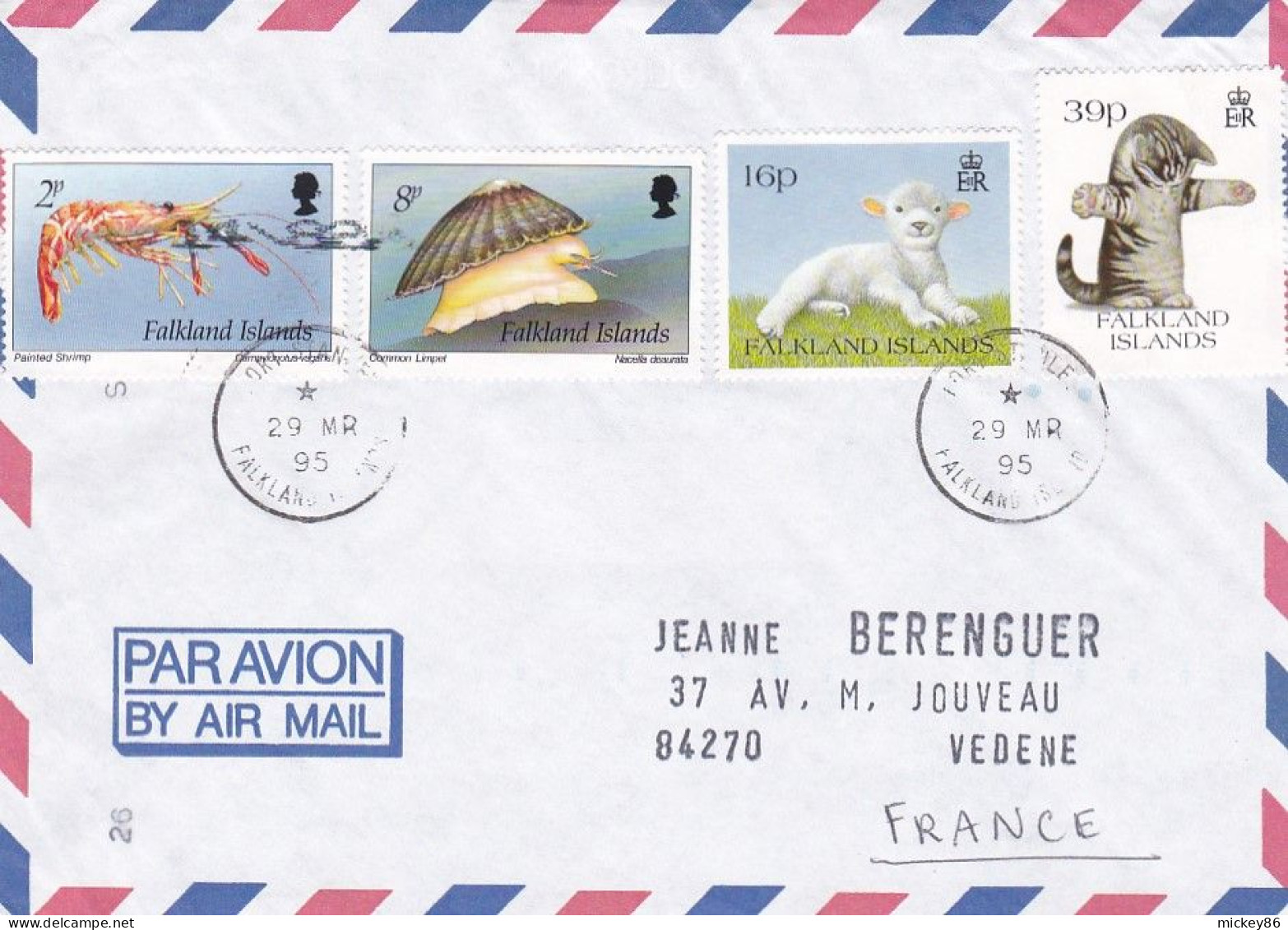 FALKLAND Islands-1995--Lettre PORT STANLEY Pour VEDENE-84 (France) - Timbre(coquille,mouton,chat) .. Cachet - Islas Malvinas