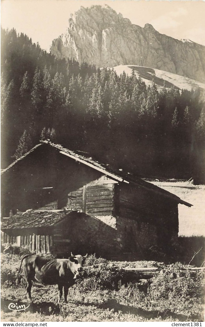 La Chapelle D'abondance Chalet De Chevene Et Le Mont Des Cornettes - La Chapelle-d'Abondance