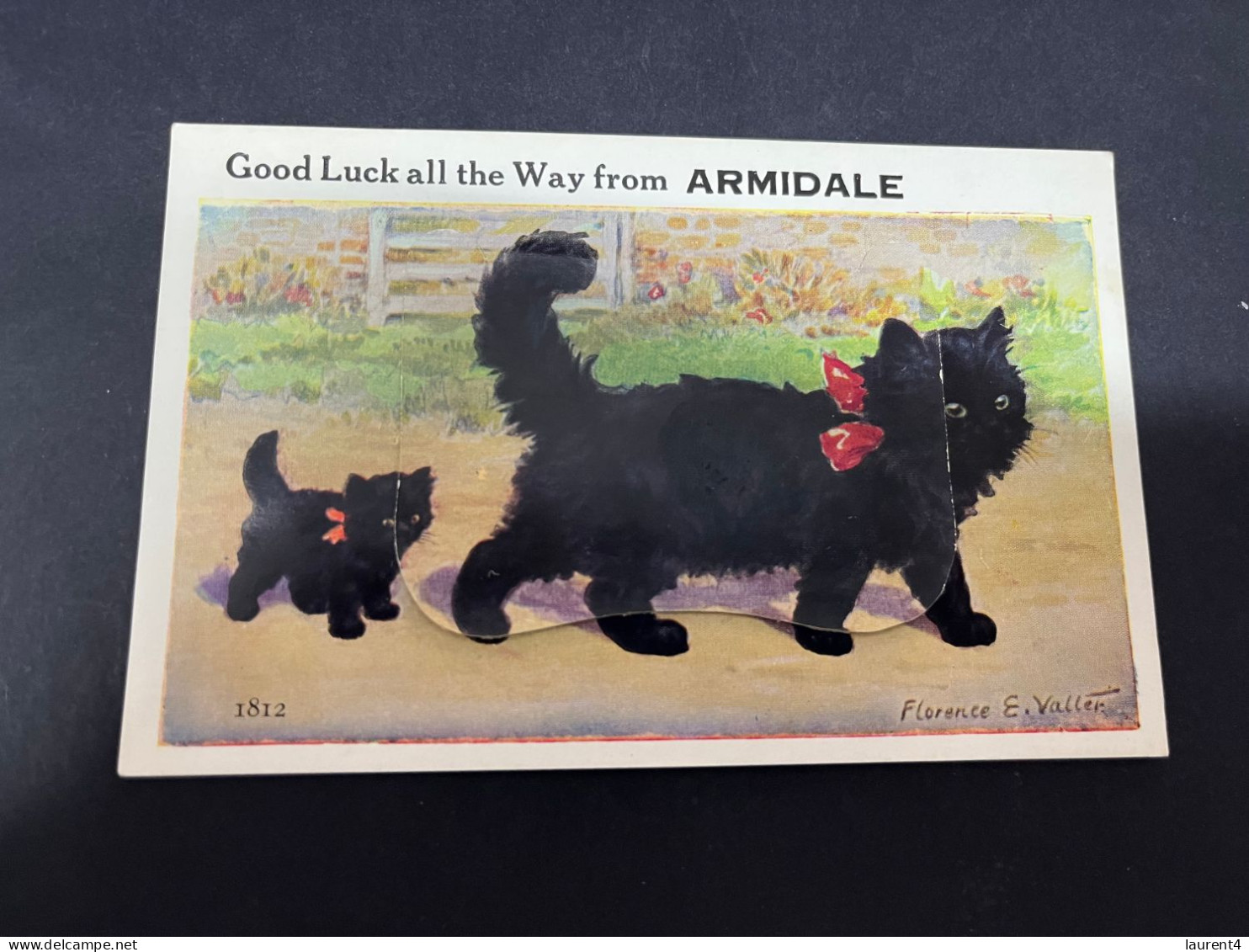 26-2-2-2024 (1 Y 16) Australia - Very Old (1940's ?) NSW - Armidale (dog) Novelty Postcard With "b/w Insert" - Andere & Zonder Classificatie